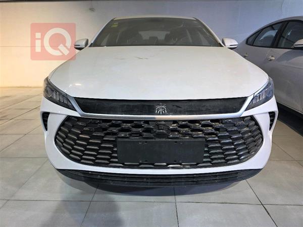 بي واي دي Qin Plus 2025 للبيع في العراق -  بغداد